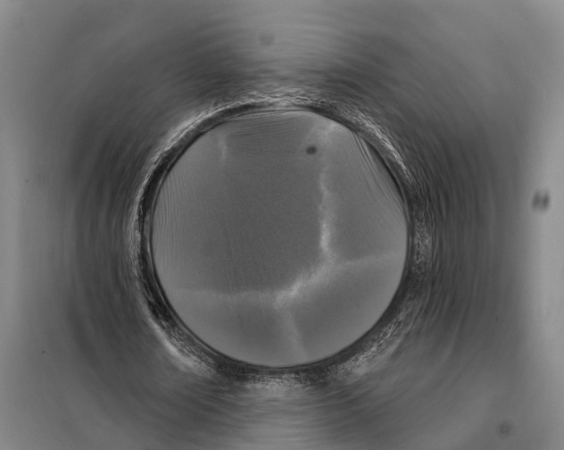 X0000097990674200804211105