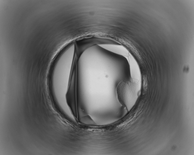 X0000097990676200804211105