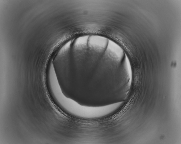 X0000097990677200804211105