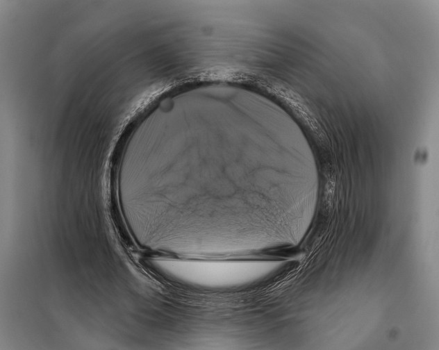 X0000097990678200804211105