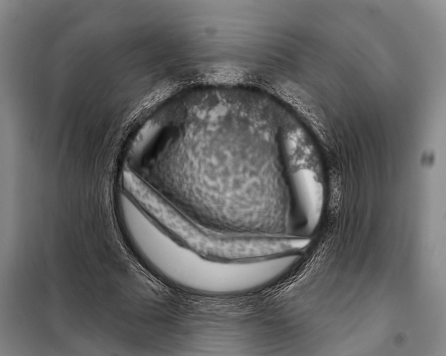 X0000097990681200804211105