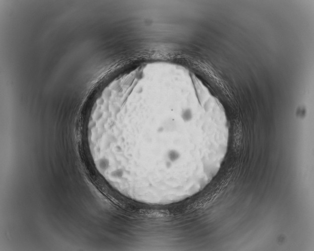 X0000097990683200804211105