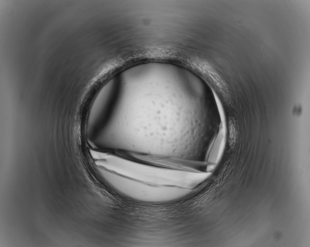 X0000097990684200804211105