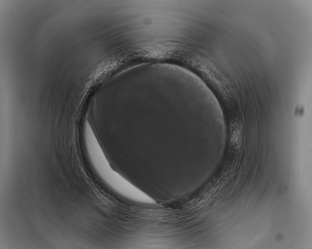 X0000097990685200804211105