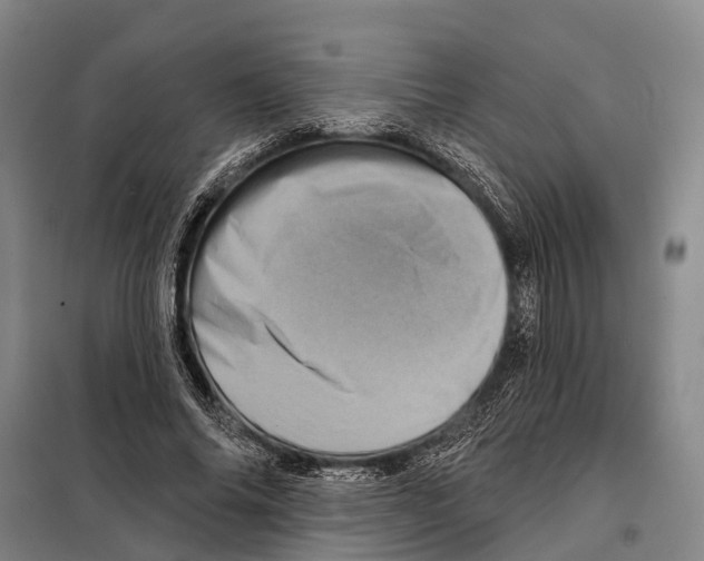 X0000097990686200804211105