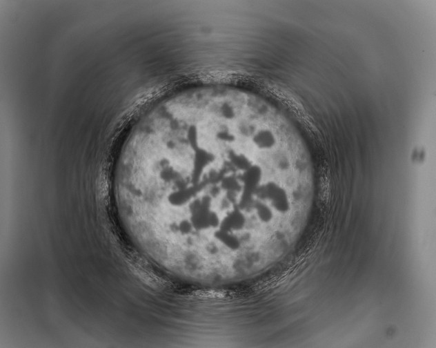 X0000097990687200804211105