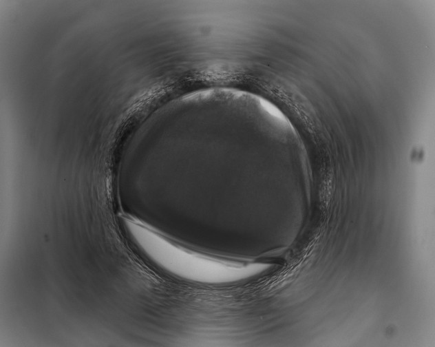 X0000097990689200804211105