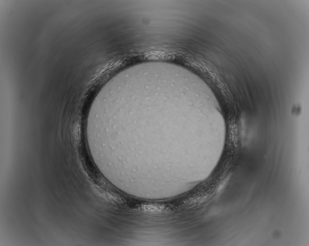 X0000097990690200804211105