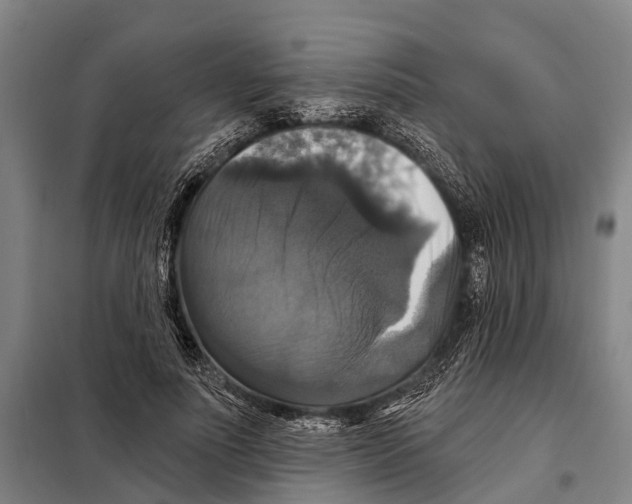 X0000097990691200804211105