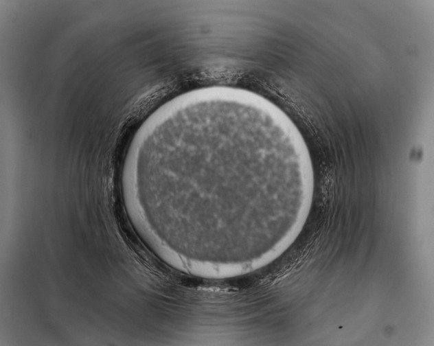 X0000097990693200804211104