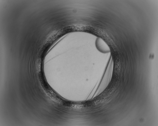 X0000097990694200804211104