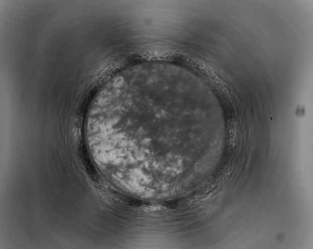 X0000097990695200804211104