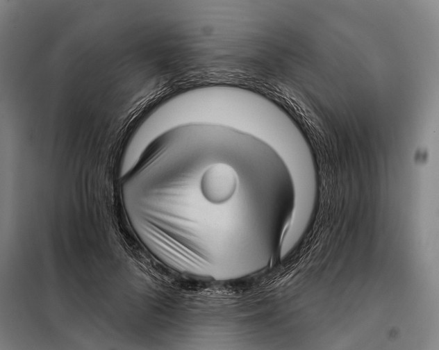 X0000097990696200804211104