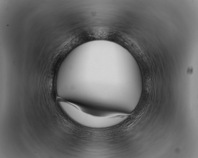 X0000097990697200804211104