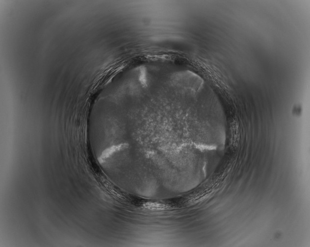 X0000097990699200804211104