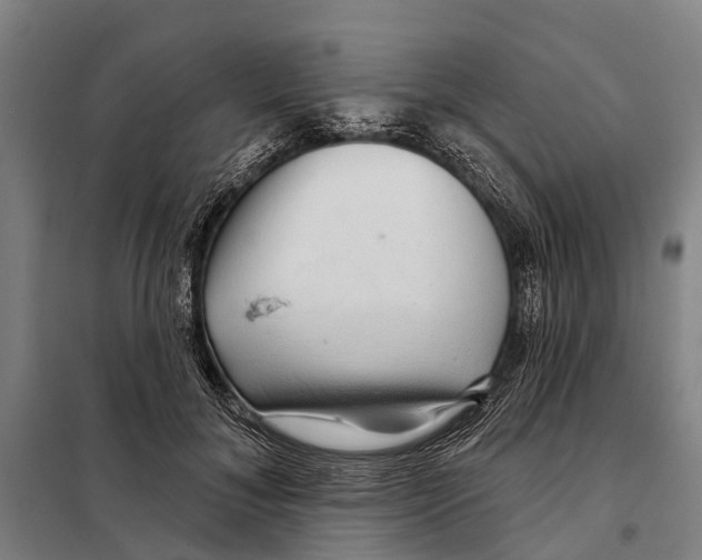 X0000097990700200804211104