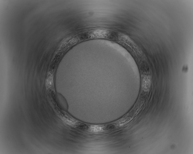 X0000097990701200804211104