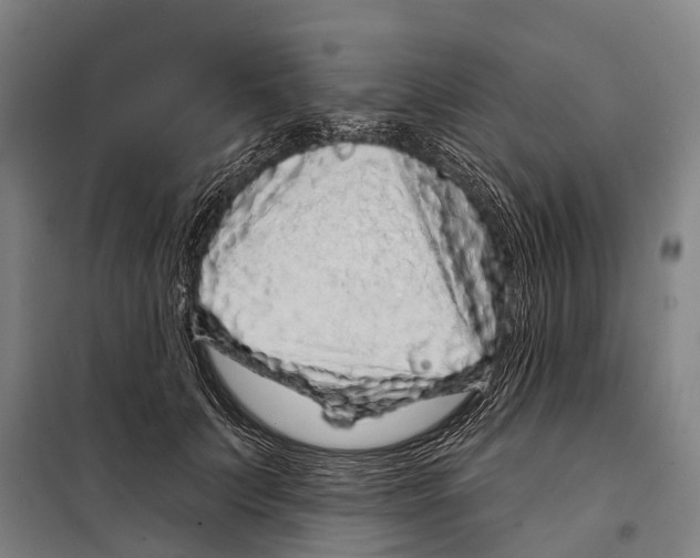 X0000097990703200804211104