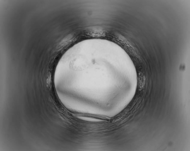 X0000097990704200804211104