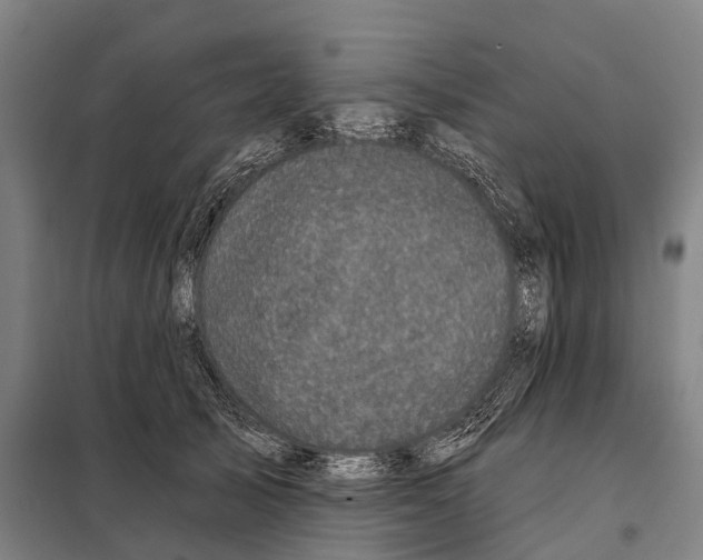 X0000097990705200804211104