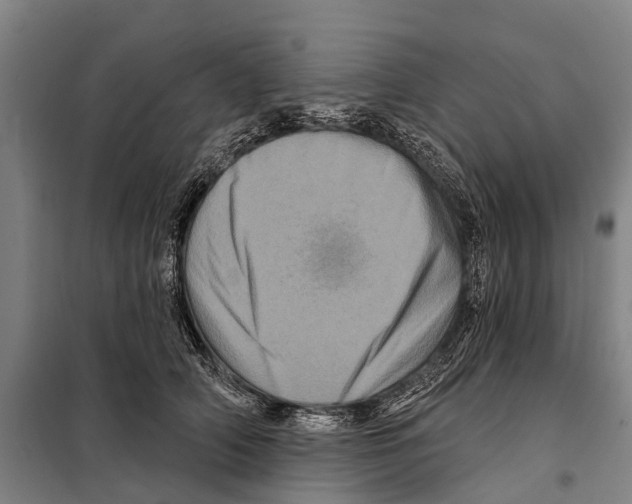 X0000097990706200804211104