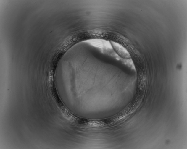 X0000097990707200804211104