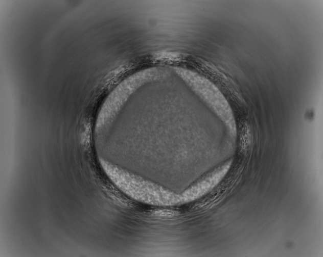 X0000097990708200804211104