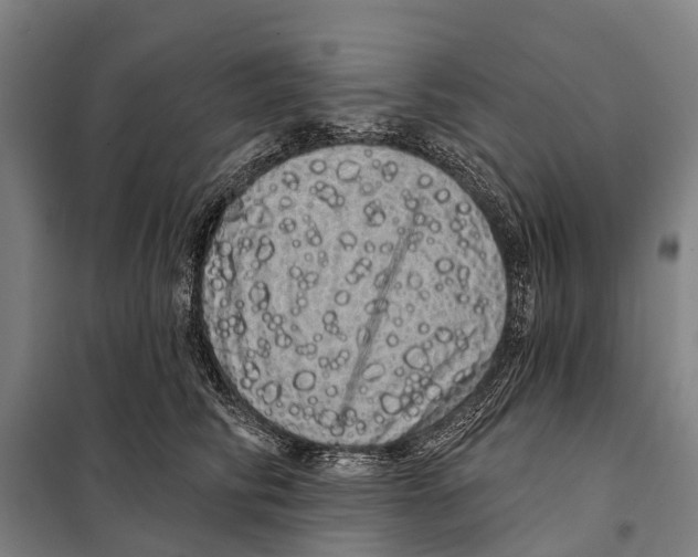 X0000097990710200804211104