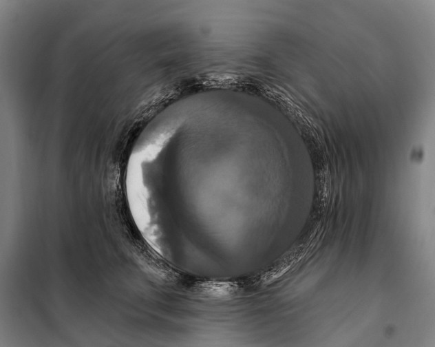 X0000097990711200804211104