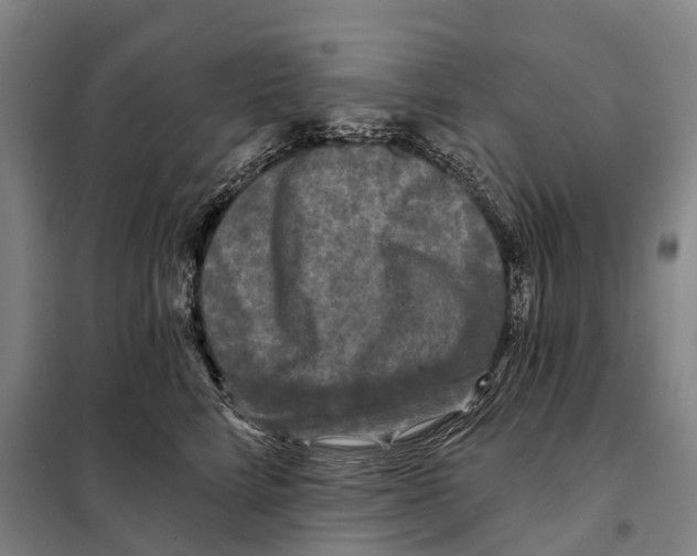 X0000097990712200804211104