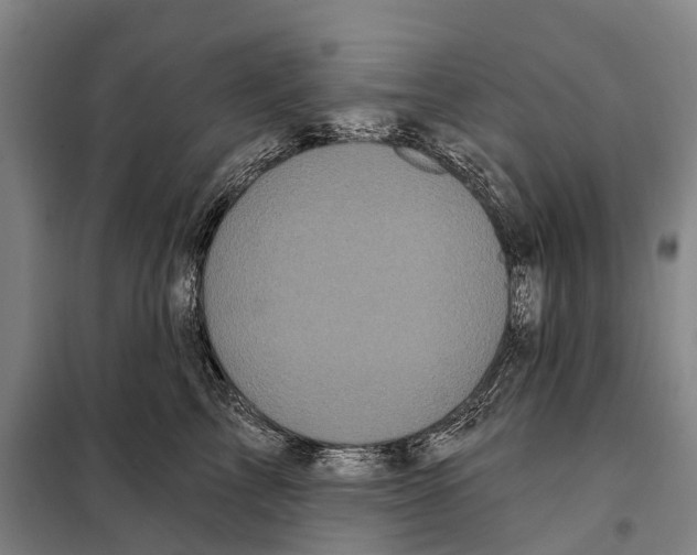 X0000097990713200804211104