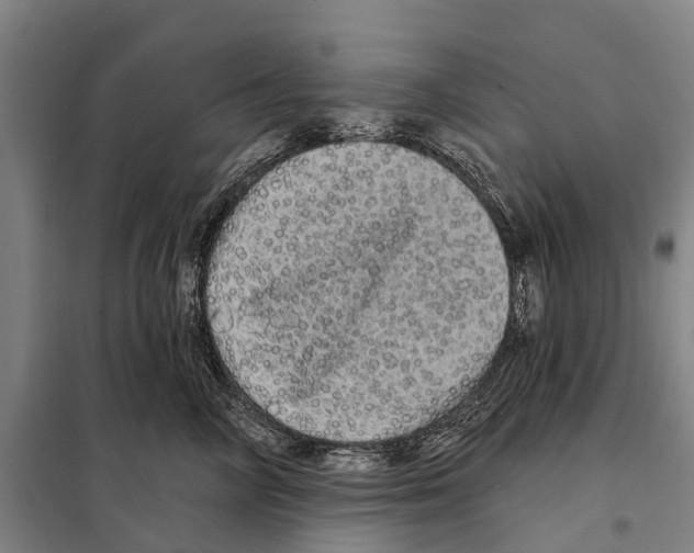 X0000097990714200804211104