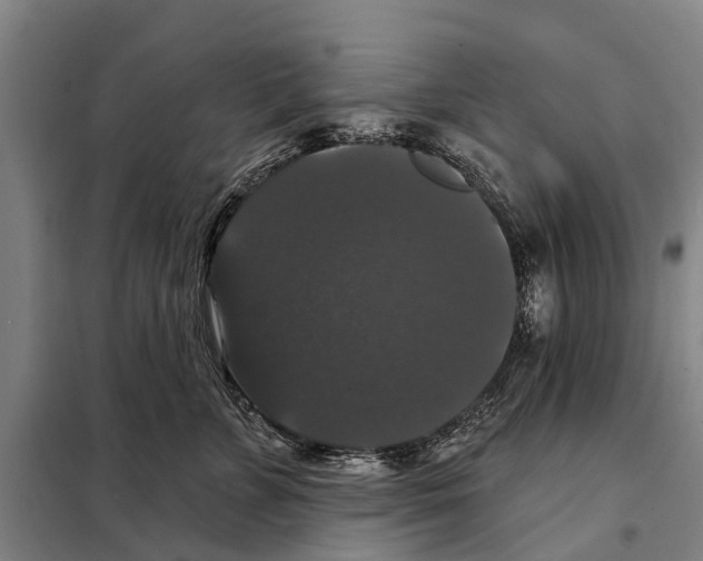 X0000097990715200804211104