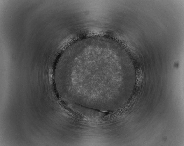 X0000097990716200804211104