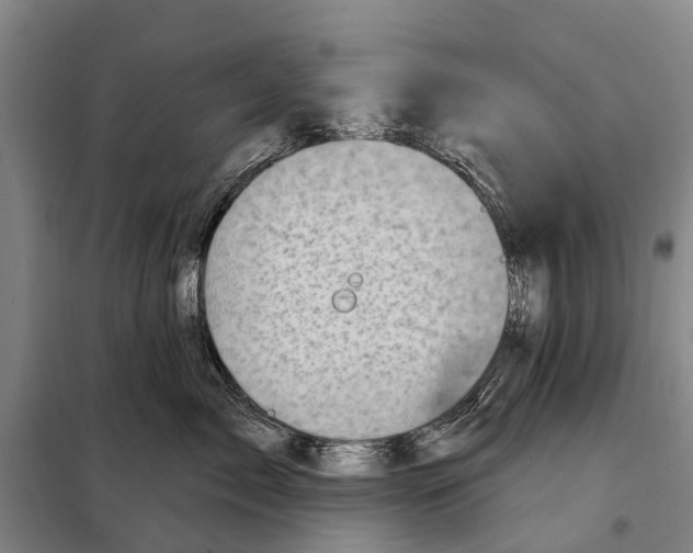 X0000097990717200804211104