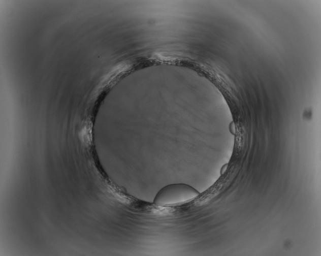 X0000097990718200804211104