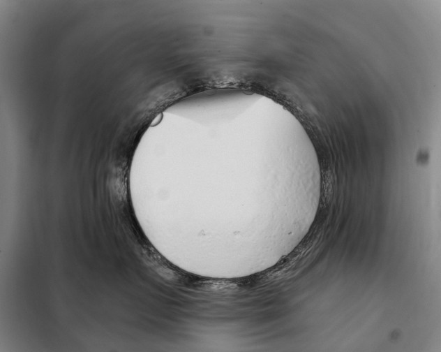 X0000097990719200804211104