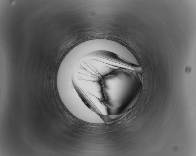 X0000097990720200804211104