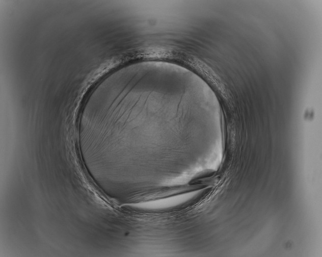 X0000097990721200804211103