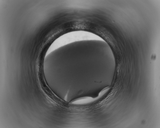 X0000097990722200804211103