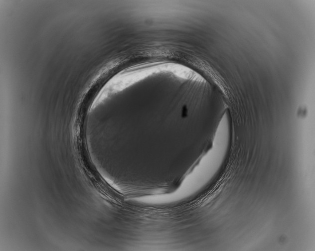 X0000097990723200804211103