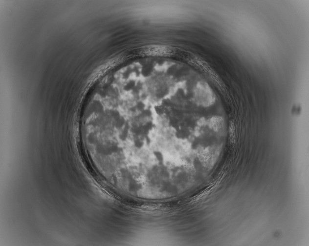 X0000097990725200804211103