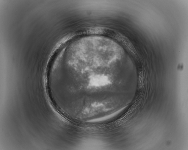 X0000097990726200804211103