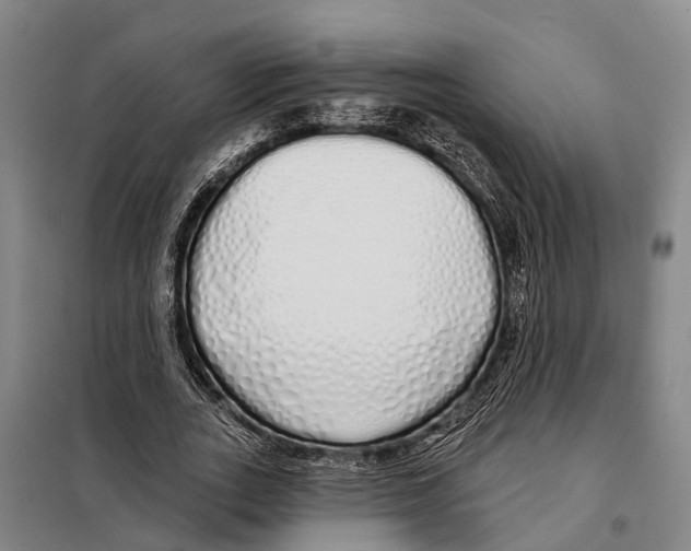 X0000097990727200804211103