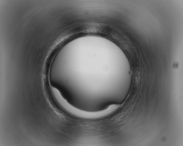 X0000097990728200804211103