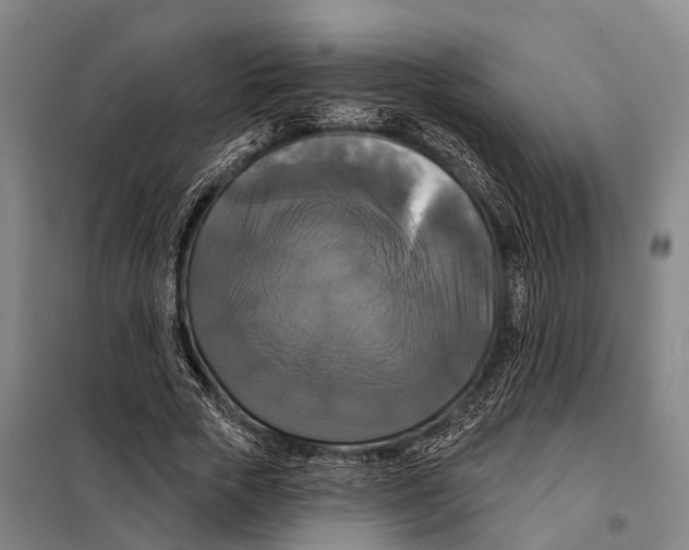 X0000097990729200804211103