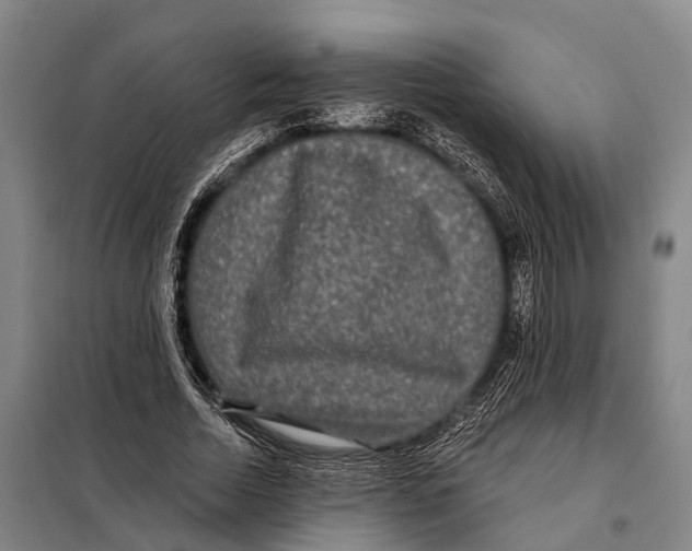 X0000097990730200804211103