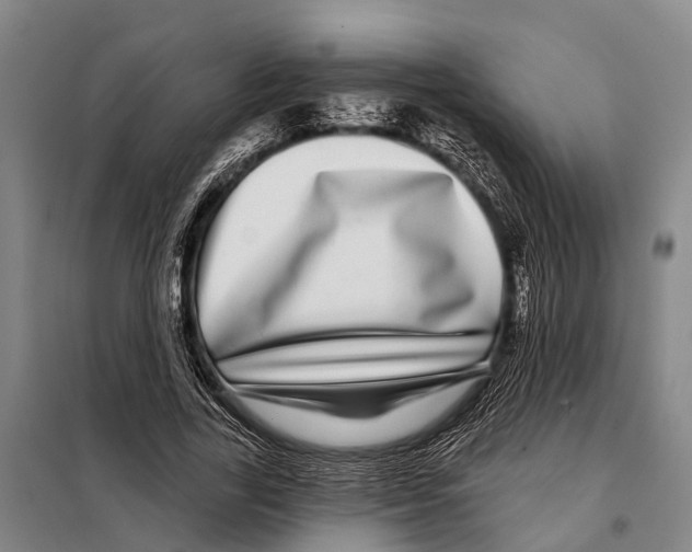 X0000097990731200804211103