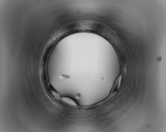 X0000097990732200804211103