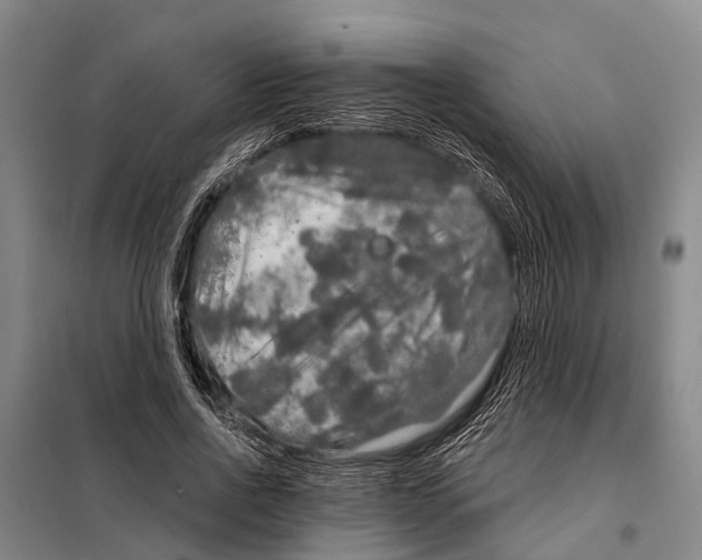 X0000097990734200804211103